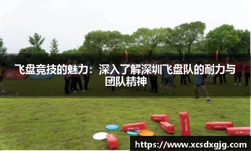 飞盘竞技的魅力：深入了解深圳飞盘队的耐力与团队精神