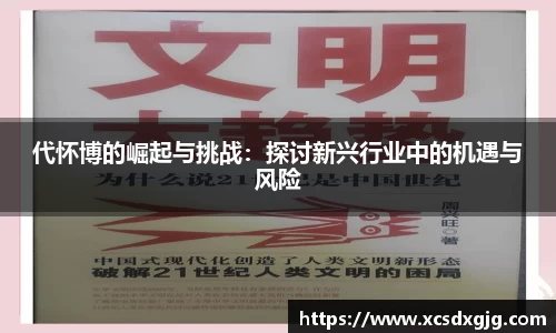 代怀博的崛起与挑战：探讨新兴行业中的机遇与风险
