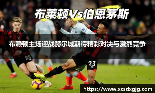 布赖顿主场迎战赫尔城期待精彩对决与激烈竞争