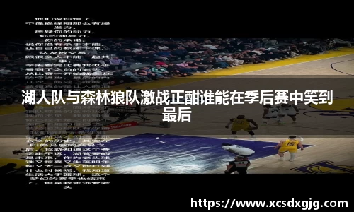 湖人队与森林狼队激战正酣谁能在季后赛中笑到最后