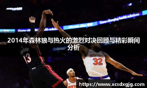 2014年森林狼与热火的激烈对决回顾与精彩瞬间分析